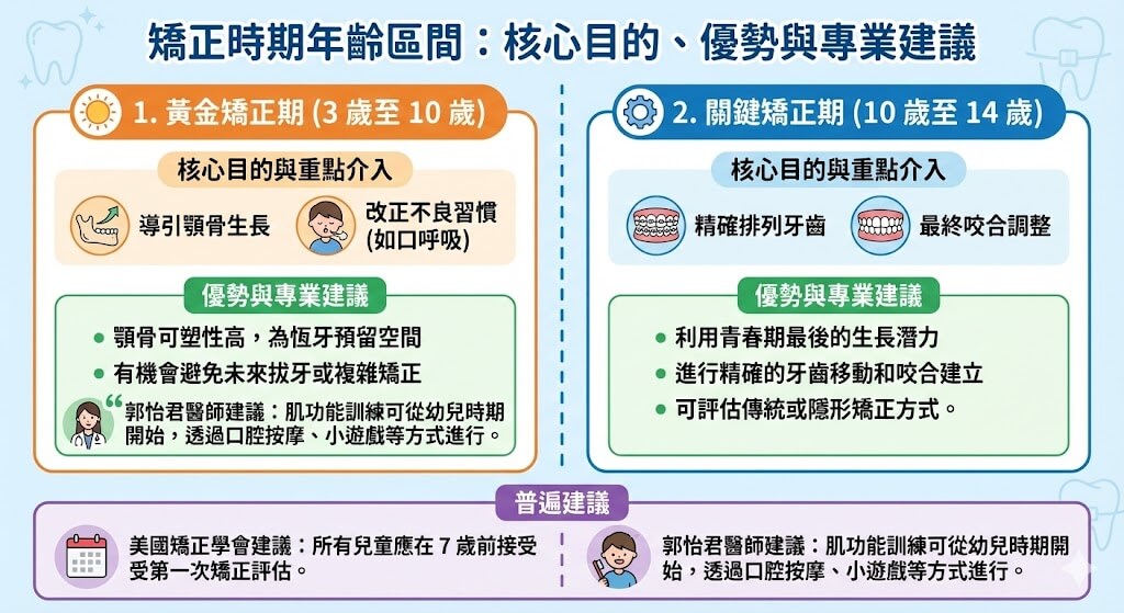 矯正時期年齡區間：核心目的、優勢與專業建議
