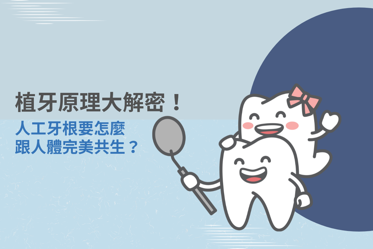 植牙原理大解密：人工牙根如何與人體完美共生？